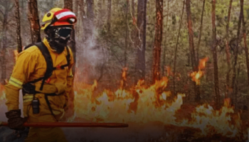 Presidente Petro confirmó declaratoria de desastre natural en Colombia para atender emergencias por incendios forestales