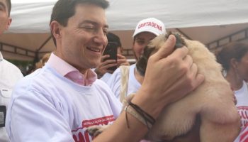 Veterinarios y médicos al alcance de un clic: así es la red de atención 24/7 que propone Felipe, “Pipe” Córdoba