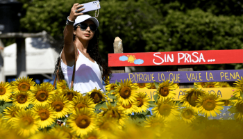 Los girasoles de Baranoa y Usiacurí son el atractivo turístico del Atlántico