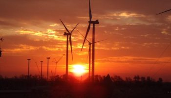 Controversia por proyecto de parque eólico cerca del Parque Isla Salamanca