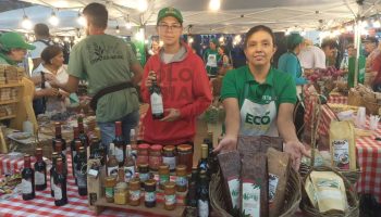 Mercadito Sostenible: Un Modelo Regional de Innovación y Economía Ecológica en Santander