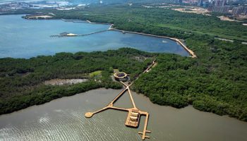 El zoológico de barranquilla sería trasladado a un lote cercano a la cienaga de mallorquín