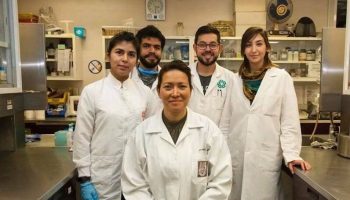 El virus del papiloma humano podría eliminarse gracias a investigadores mexicanos