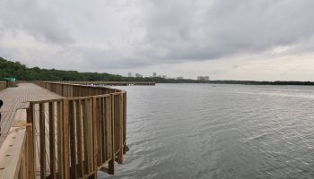 La ciénaga de Mallorquín, un ecosistema en exilio