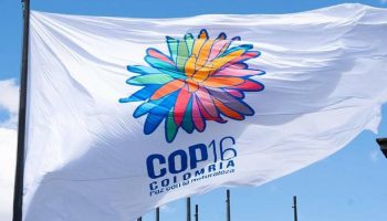 COP16: Así va la programación del día de hoy