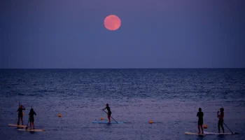 Espectáculo en la noche, la Luna de Fresa más baja en 20 años desde Colombia